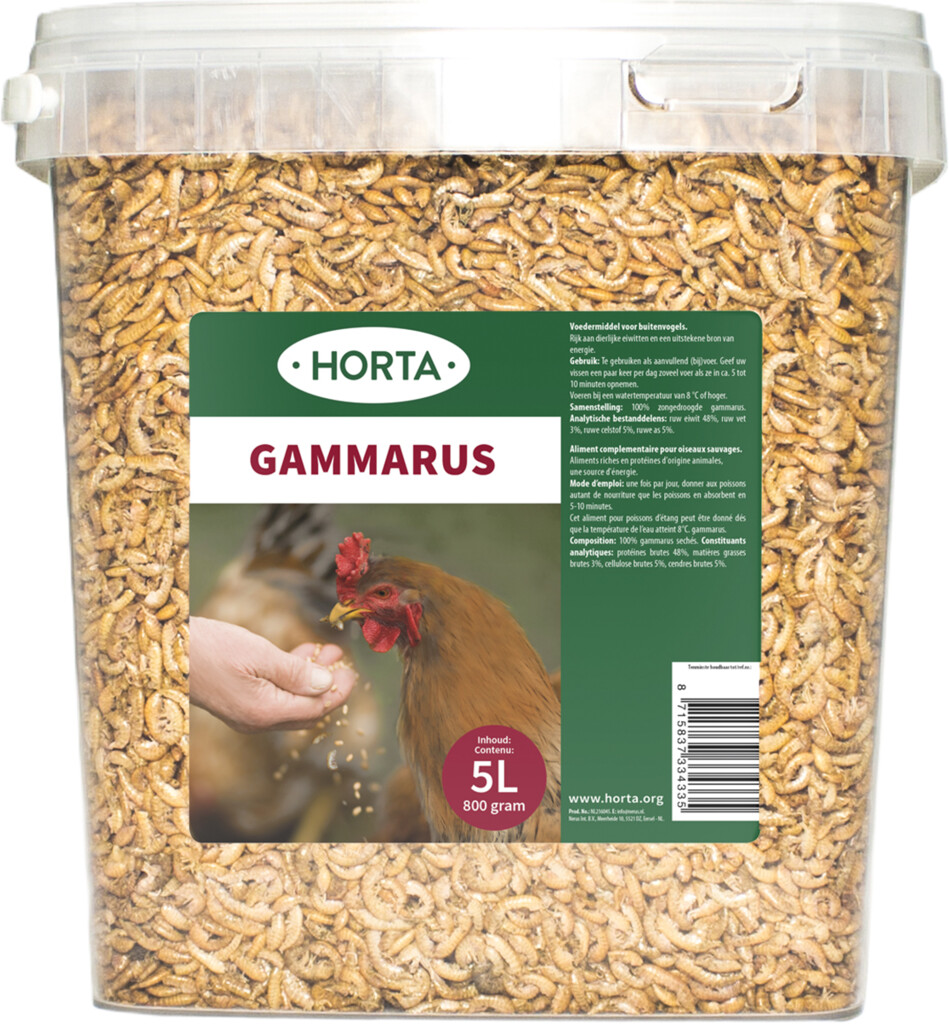 Gammarus 5L