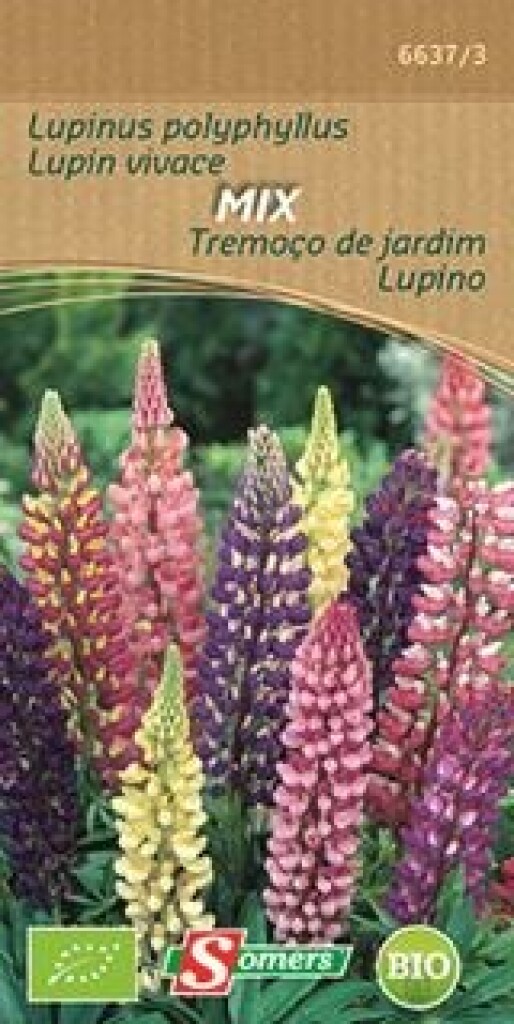 Be-Bio-02  Lupinus nanus Mix Be-Bio-02  Lupinus nanus Mix