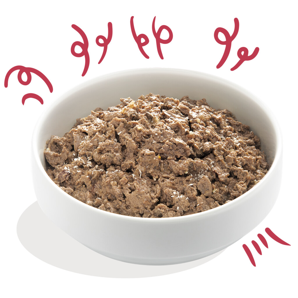 Biologisch rund 100g - Adult - kuipje