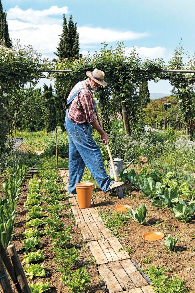 Pot de fleurs Aquado 25cm Pot de fleurs Aquado 25cm