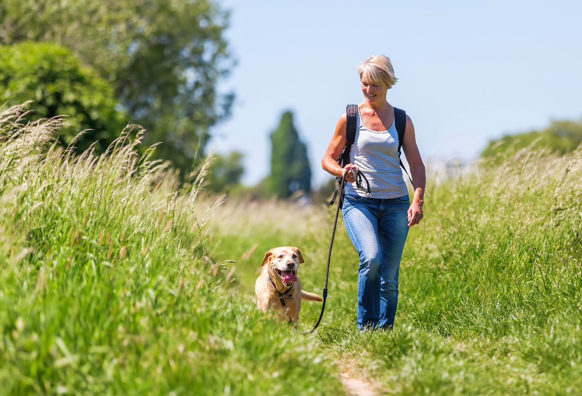5 tips voor de perfecte hondenwandeling | Horta Tuin & Dier