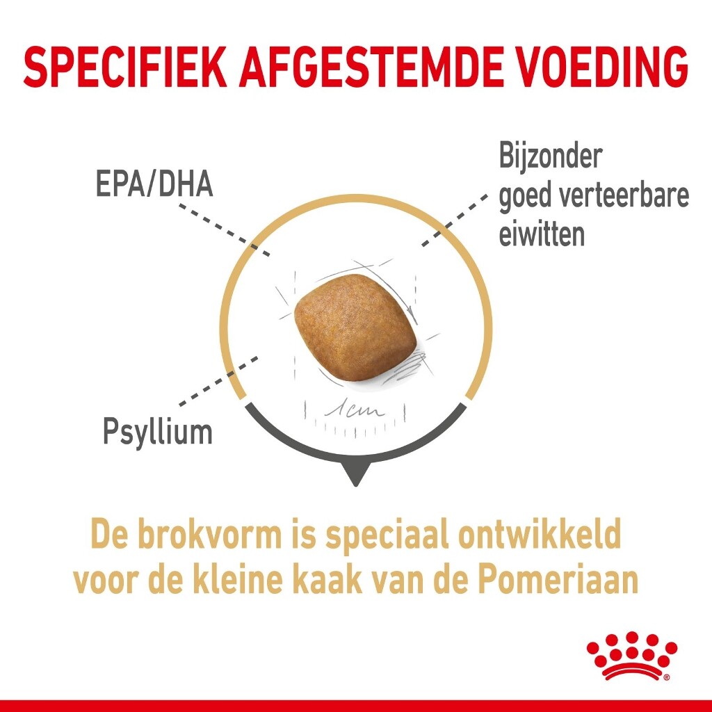 BHN Pomeranian 1,5kg