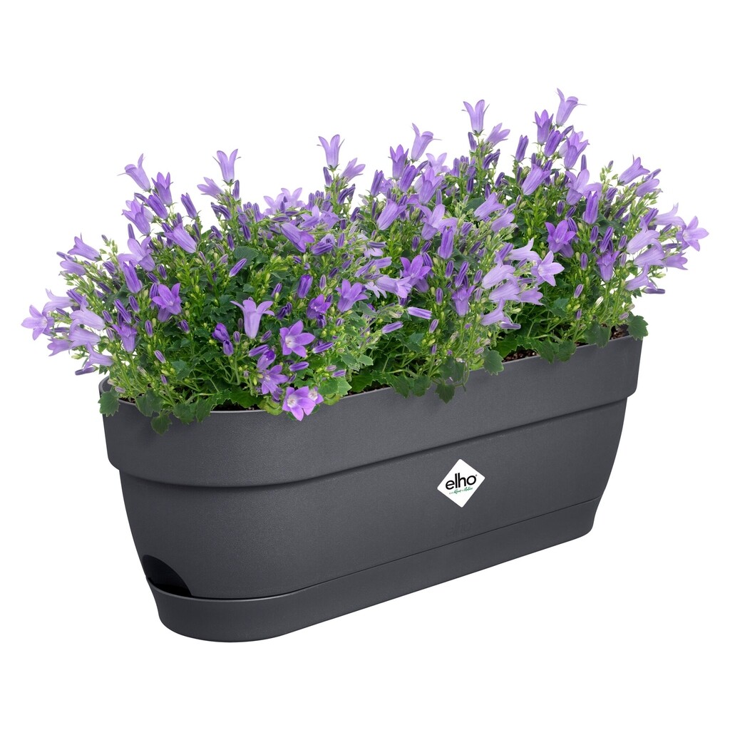 Vibia Campana Balkonbak 50cm antraciet Vibia Campana Balkonbak 50cm antraciet