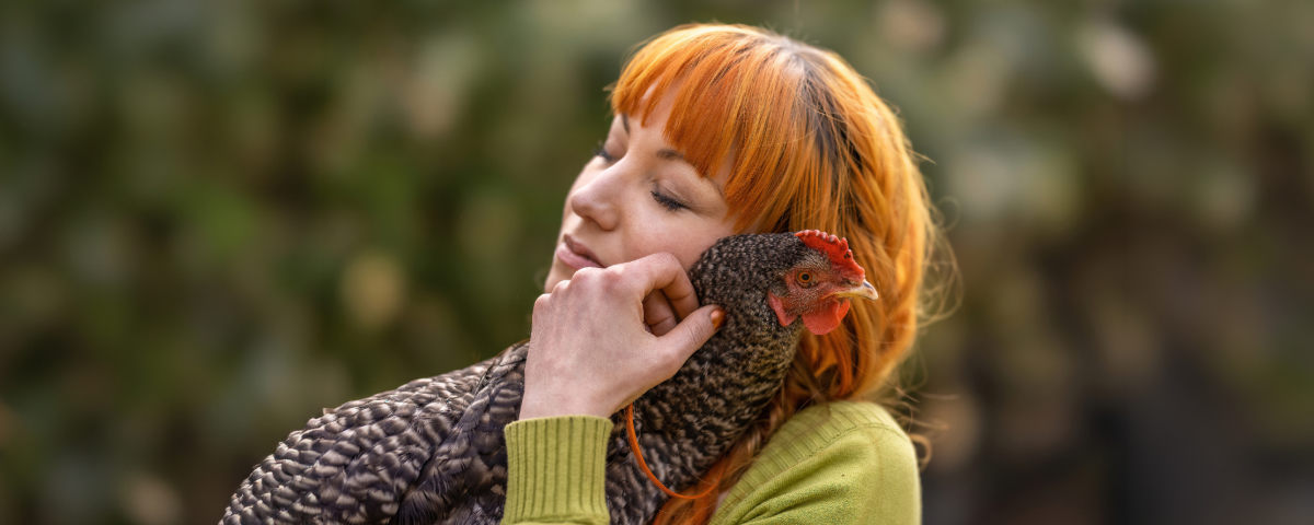  Horta Journées de la poule