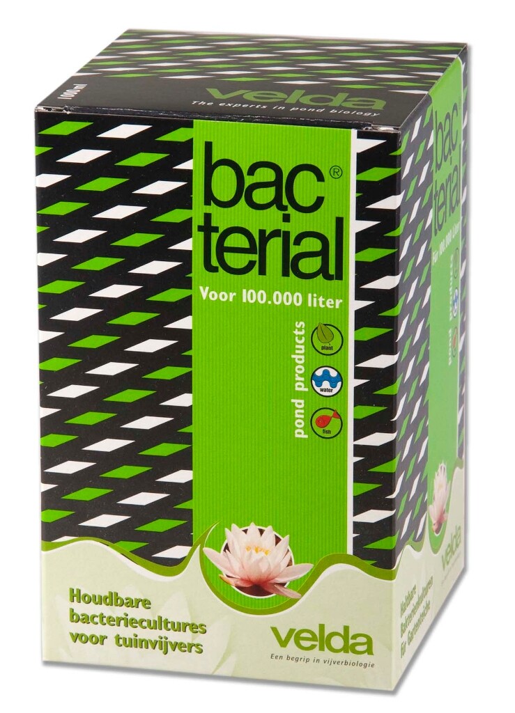 Bacterial 1000ml Bacterial 1000ml