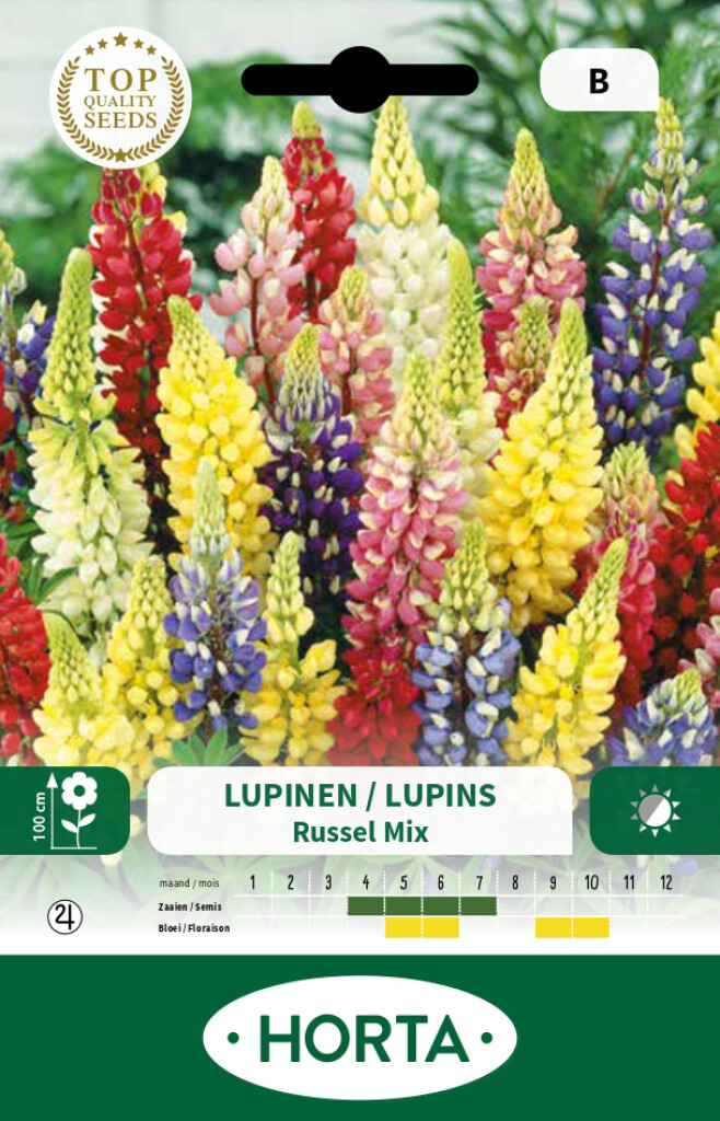 Lupine Russel doorlevend gemengd Lupine Russel doorlevend gemengd