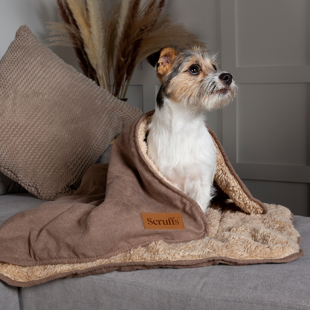 Couverture Cosy Chien Brun Caramel
