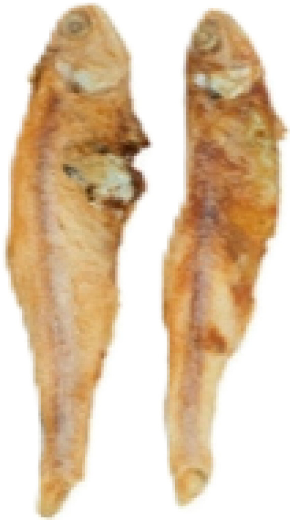 Small fish for cat 50g