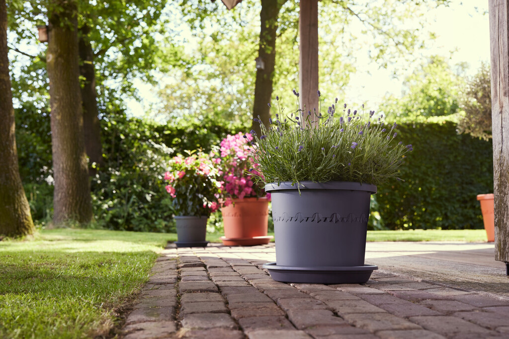 Pot de fleurs Algarve Cilindro 25cm anthracite Pot de fleurs Algarve Cilindro 25cm anthracite