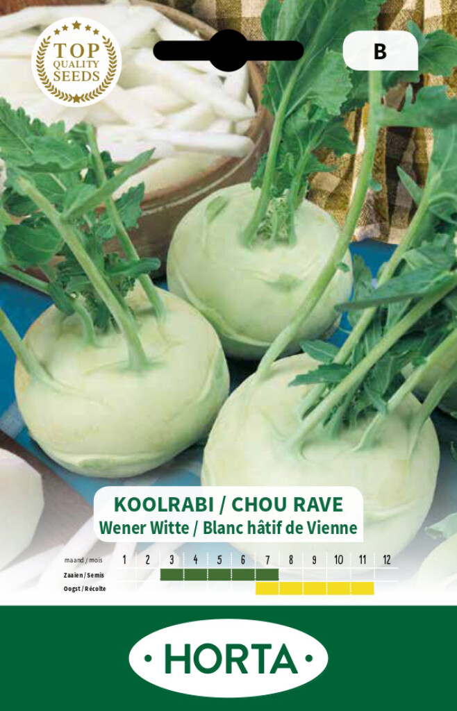 Chou rave blanc hâtif de Vienne