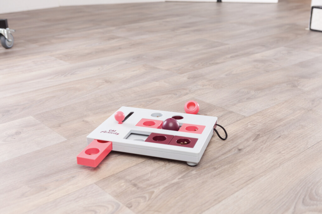 Cat Activity Brain Mover, 25 × 20 cm