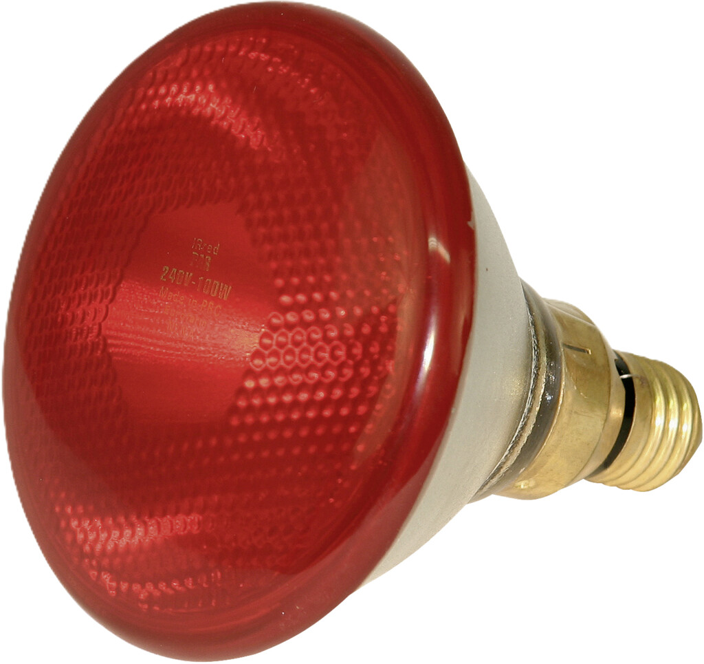 Lampe IR économique rouge, PAR38, 100W