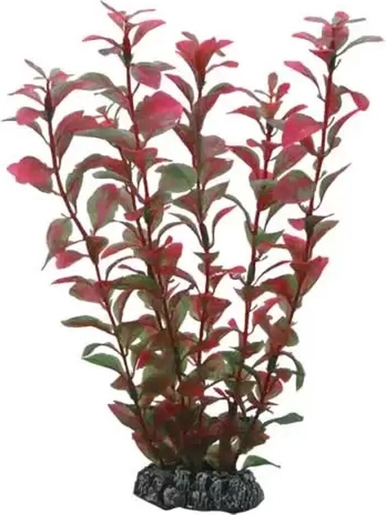Art Plant 25cm Rotala