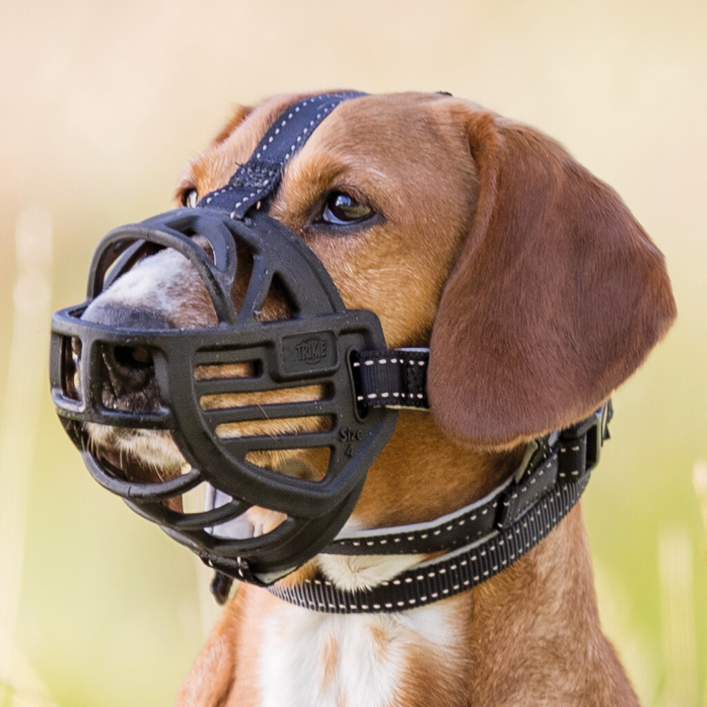 Muselière Muzzle Flex Noir S Muselière Muzzle Flex Noir S