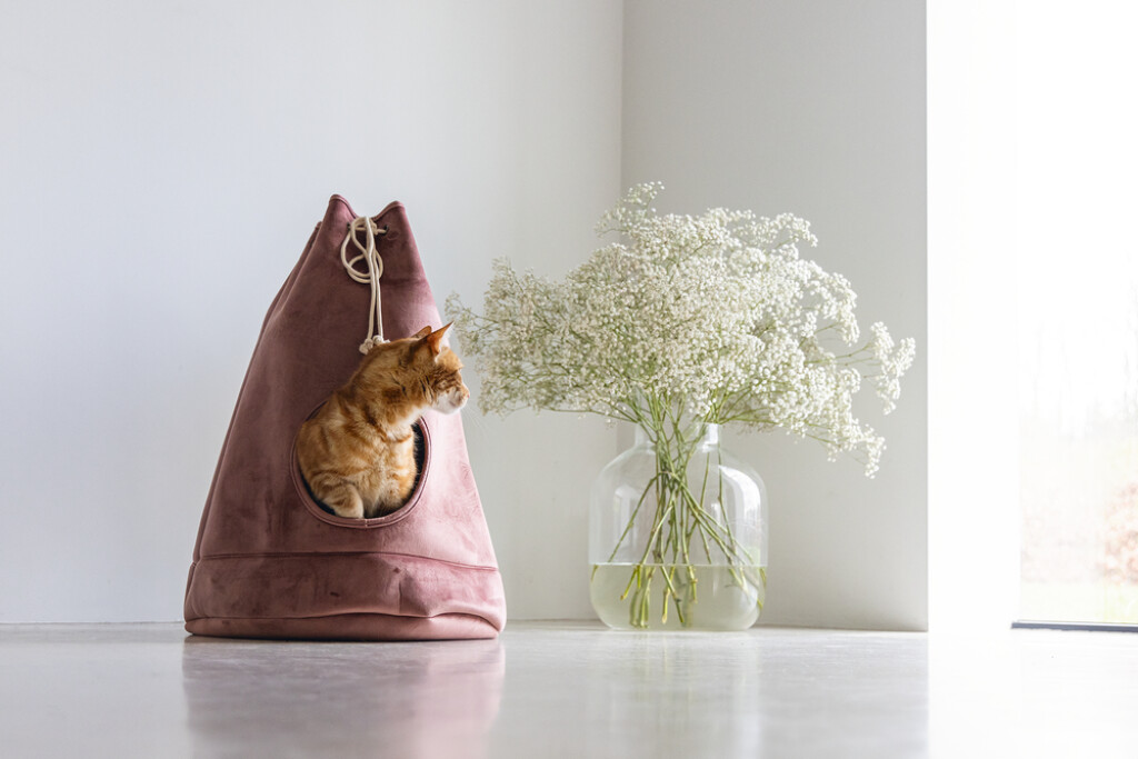 Maison chats Vilar rose Maison chats Vilar rose