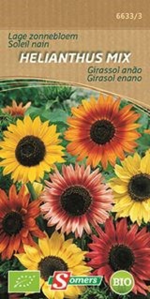 Be-Bio-02 Zonnebloem Lage Sunny