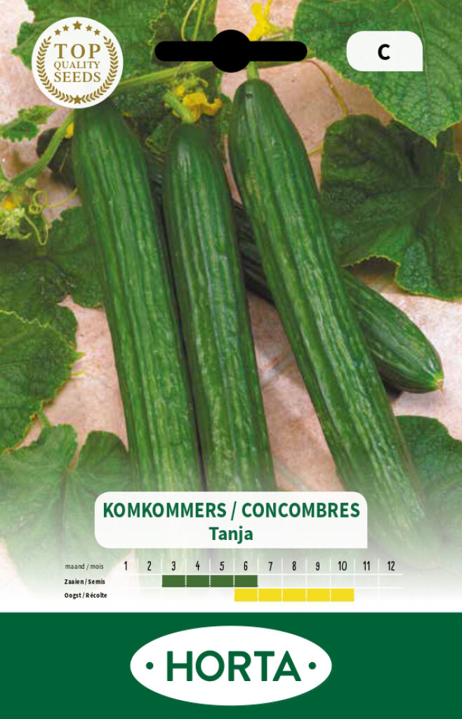 Concombre long Tanja