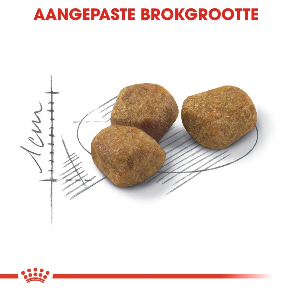 FHN Indoor 7+ 3,5kg