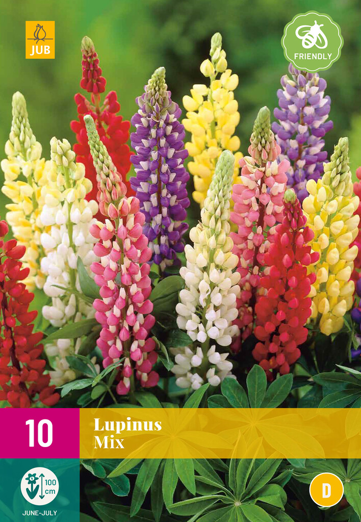 X10 Lupinus Mix