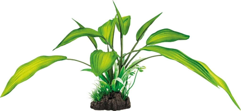 Art Plant 25cm Cryptocoryne Art Plant 25cm Cryptocoryne