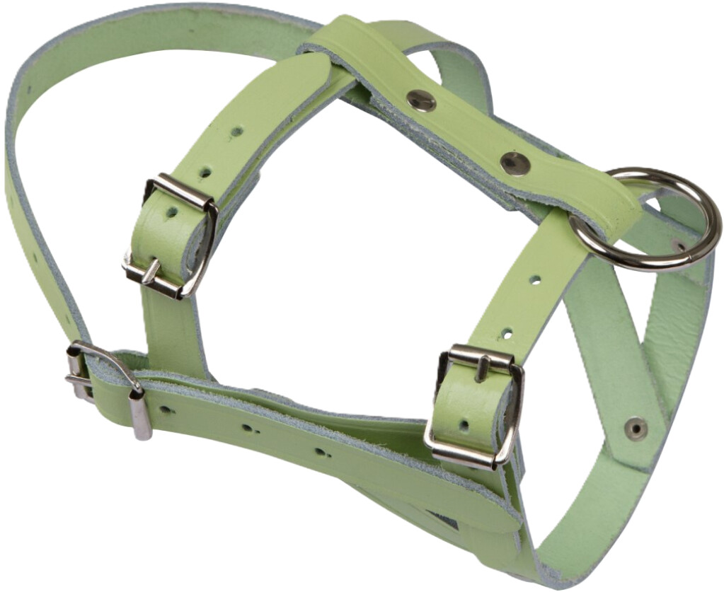 Kophalster voor schapen + bokken Leder