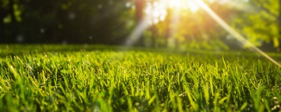 Entretenir votre gazon