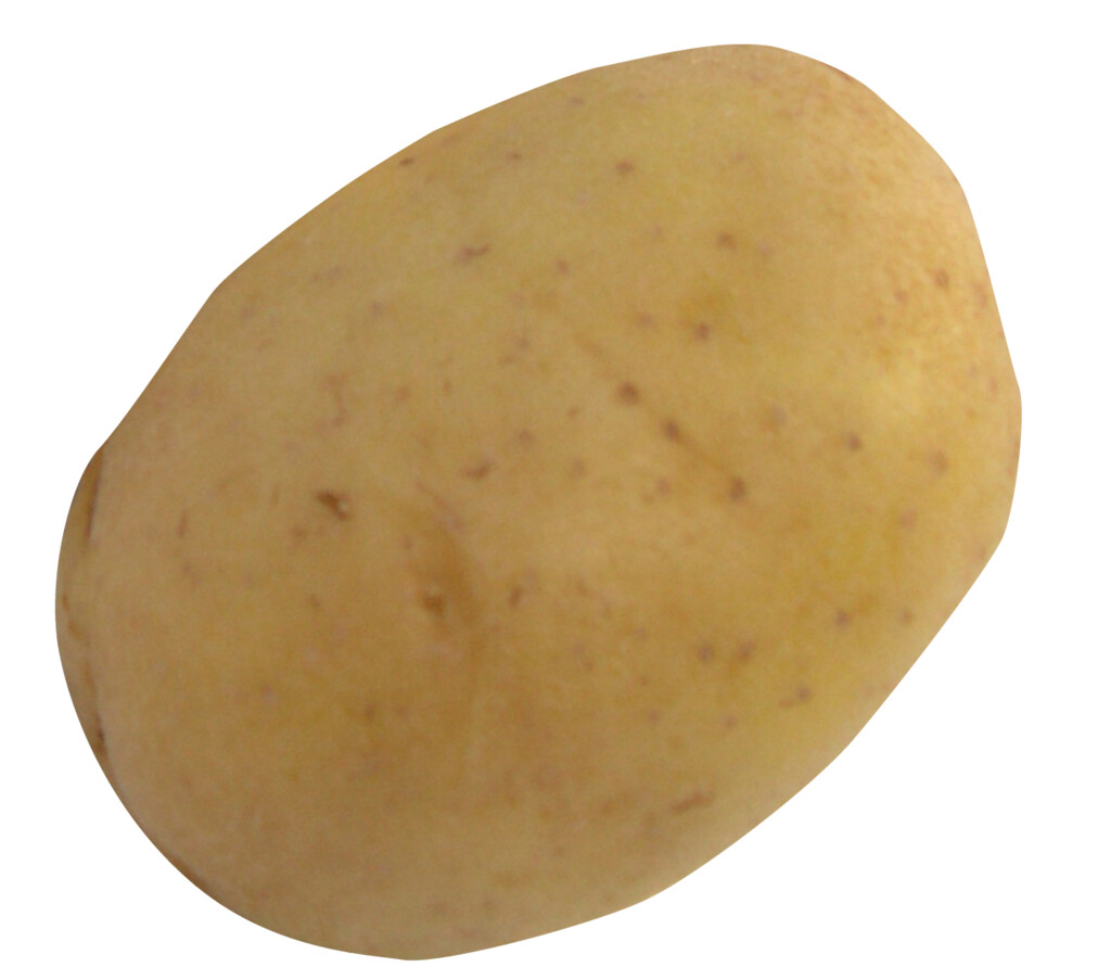 Nazca 1,5 kg
