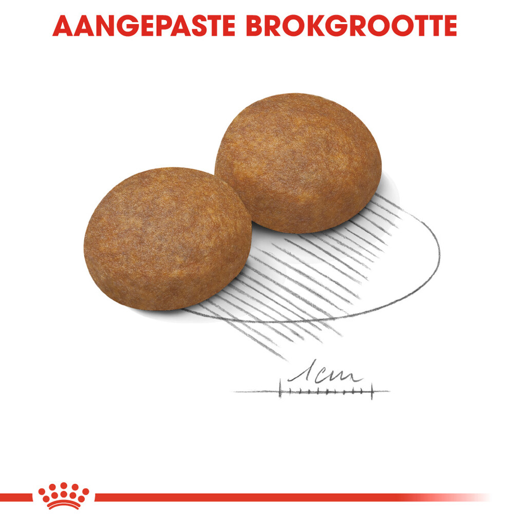 SHN Maxi Adult 5+ 15kg