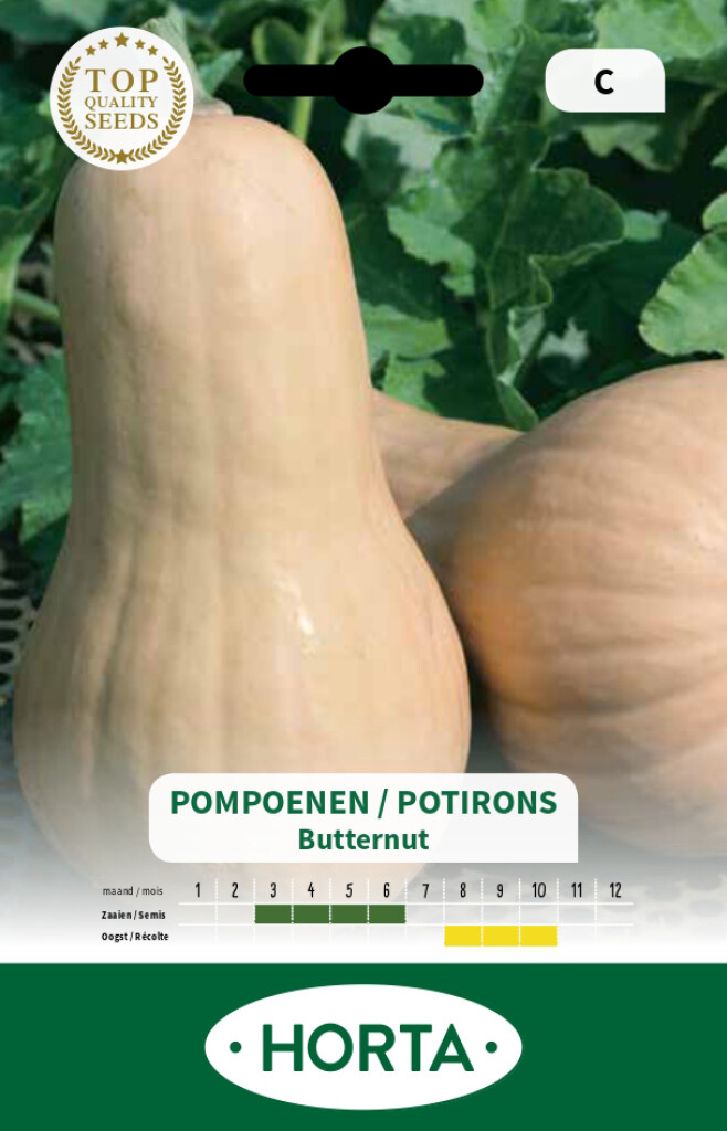 Pompoen Butternut