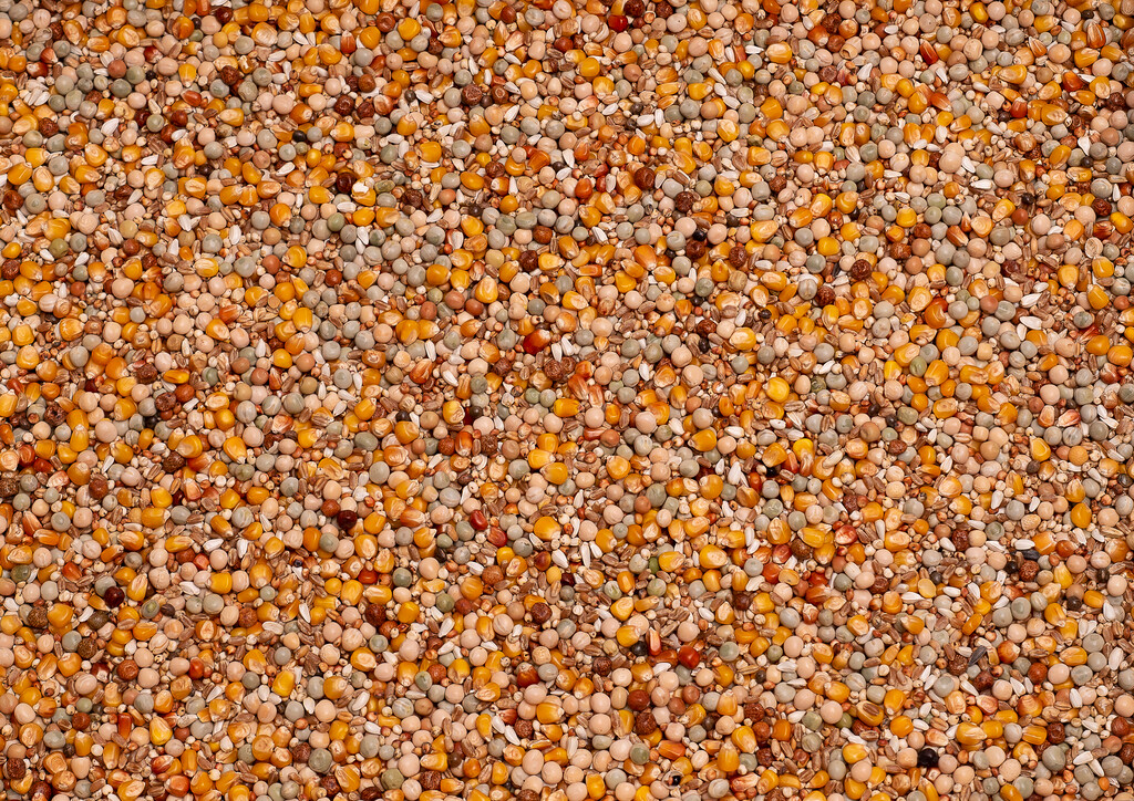 Original Elevage 25 kg