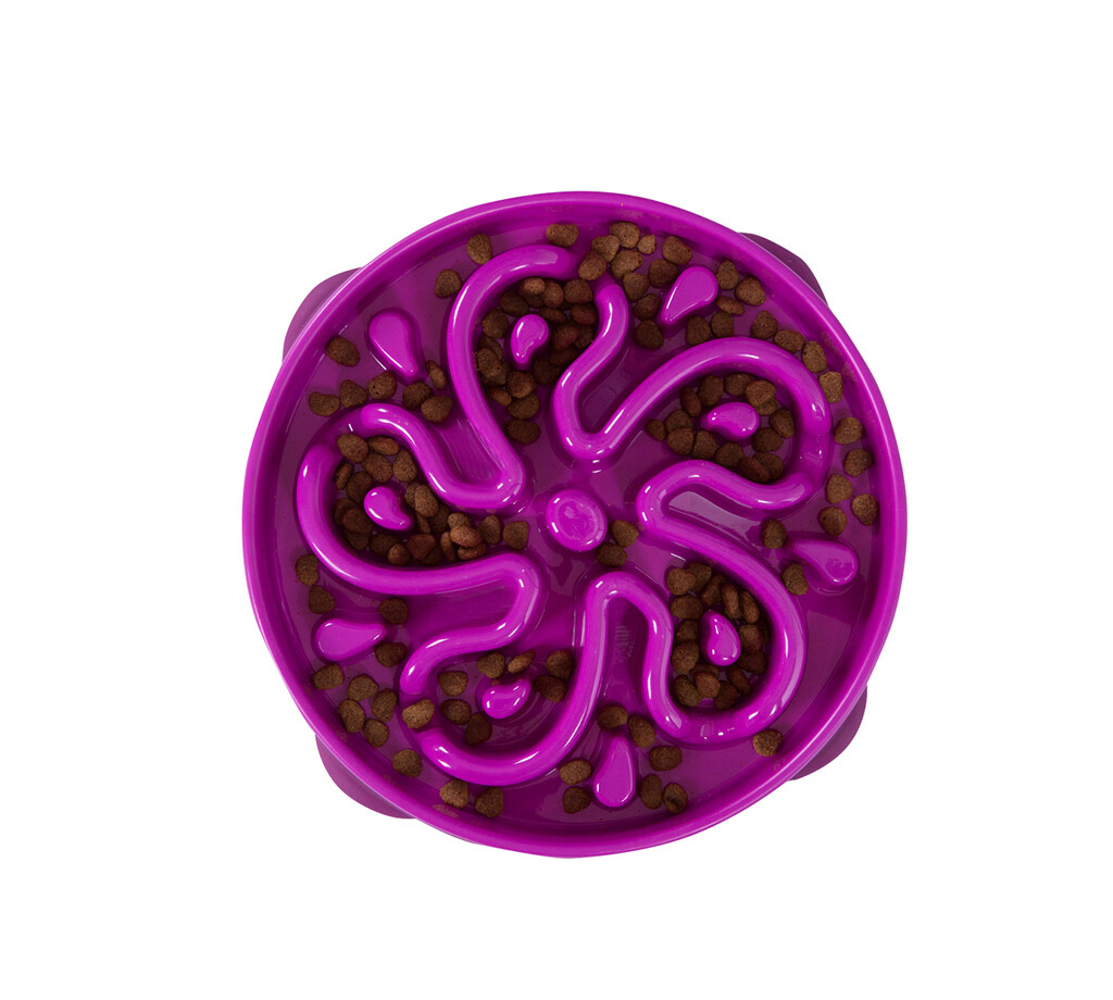 Fun Feeder Flower turquoise