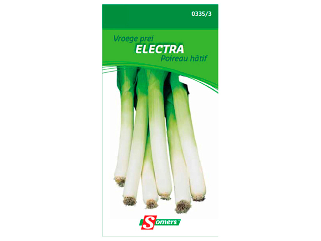 Poireau Hâtif Electra Poireau Hâtif Electra
