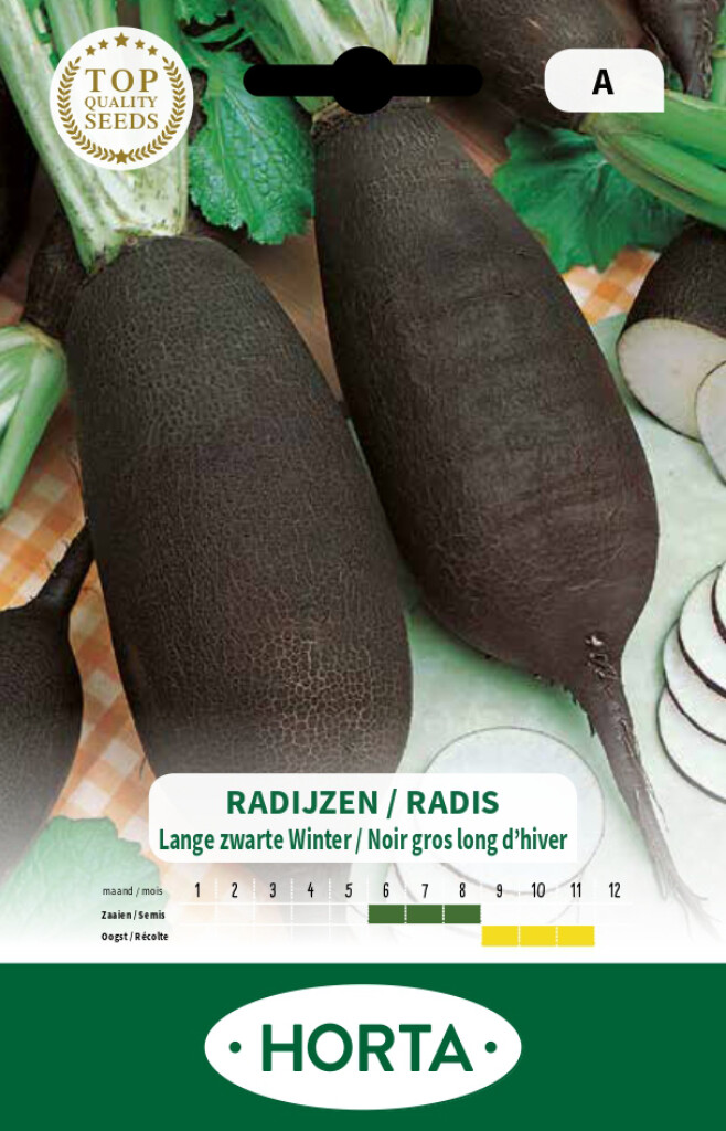Radis noir gros long d'hiver 