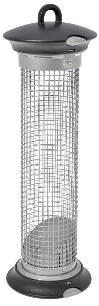 Pindasilo ‘Apollo’