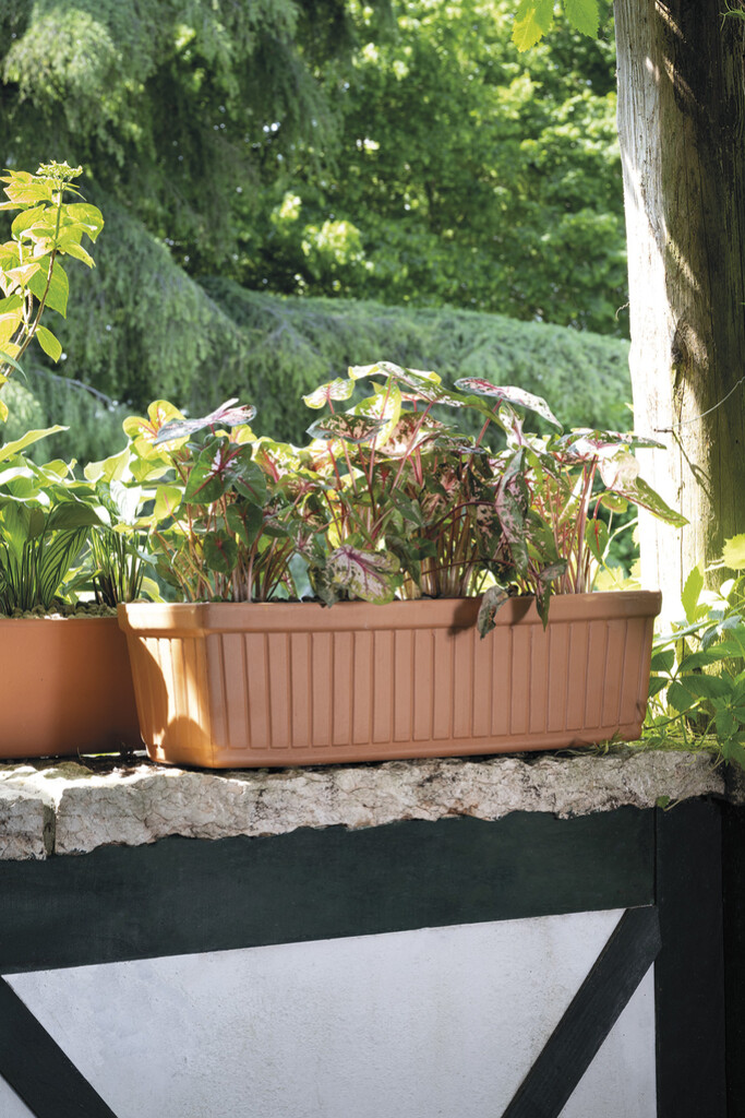 Balconnière Vénézia Cotto