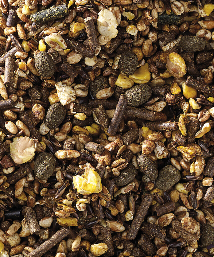 Muesli sport Endurix 20 kg