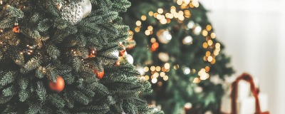 Onderhoud kerstboom Onderhoud kerstboom