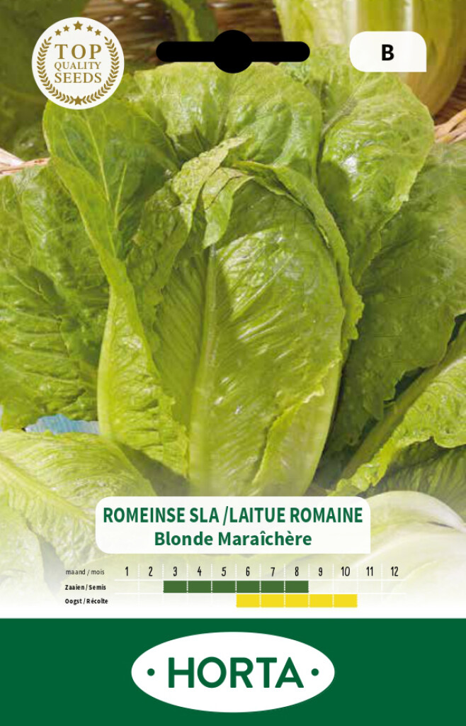 Sla Romeinse Blonde Maraîchère