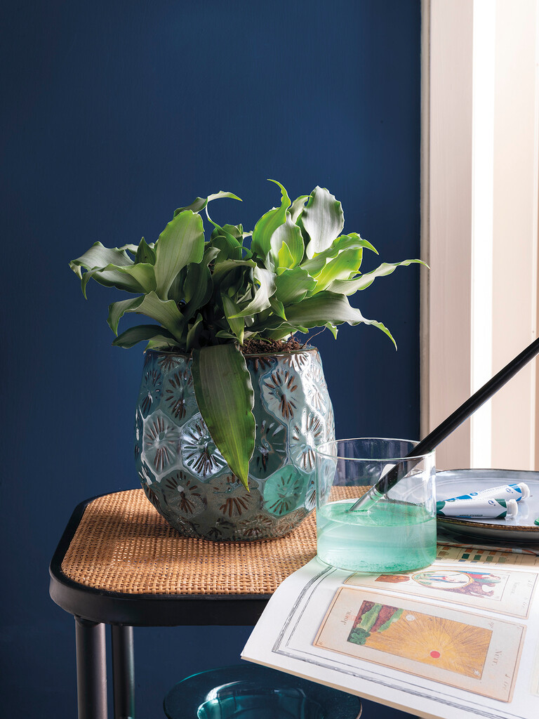 Bloempot Patelle 26cm Bloempot Patelle 26cm