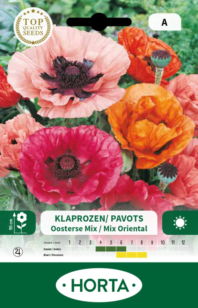 Pavot d'orient varié