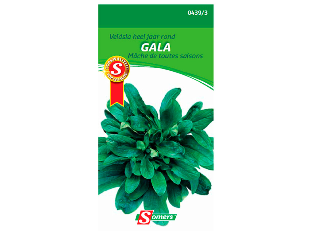 Mâche De Toutes Saisons Gala