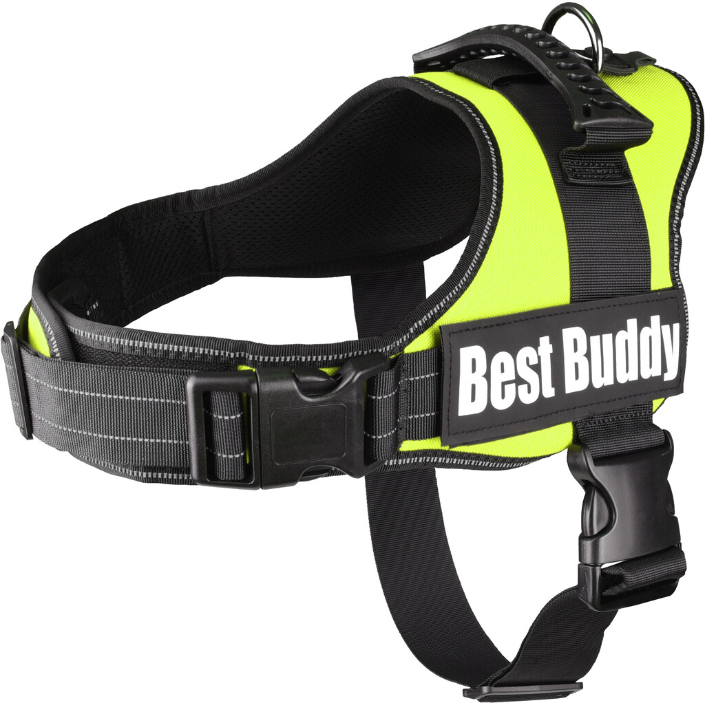 Harnais Best Buddy Pluto Vert Neon L
