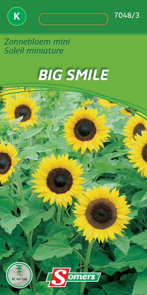 Zonnebloem mini Big smile