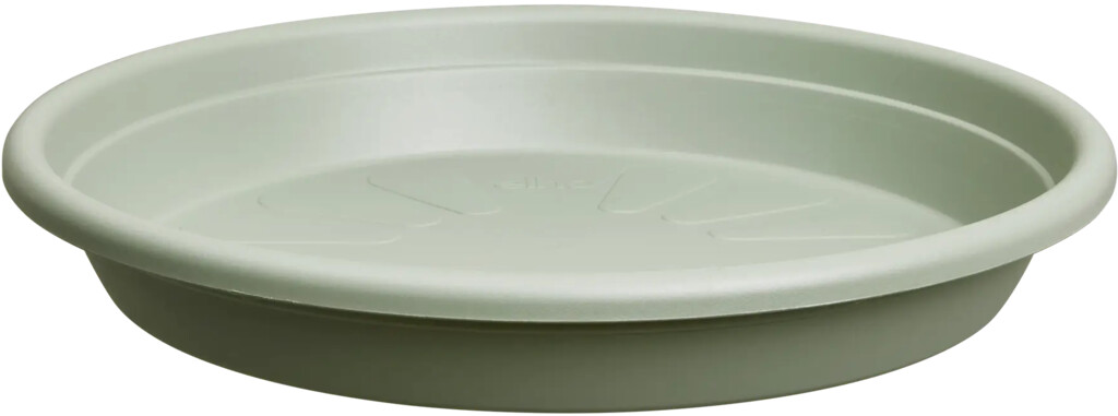 Soucoupe Universelle Ronde 40cm vert thym