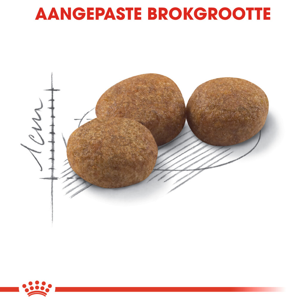 FHN Sterilised 400g