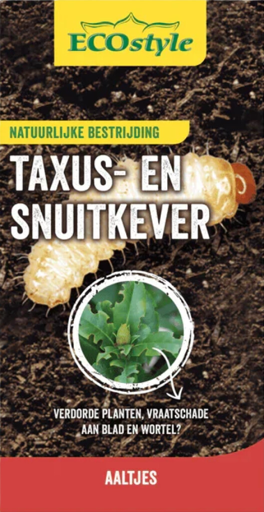 Nématodes contre les larves de coléoptères de l'if : 50 millions de nématodes/100 m²