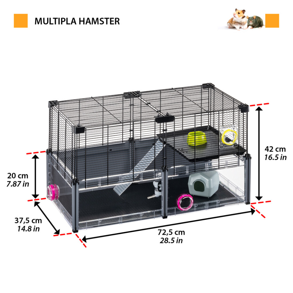Multipla Hamster zwart