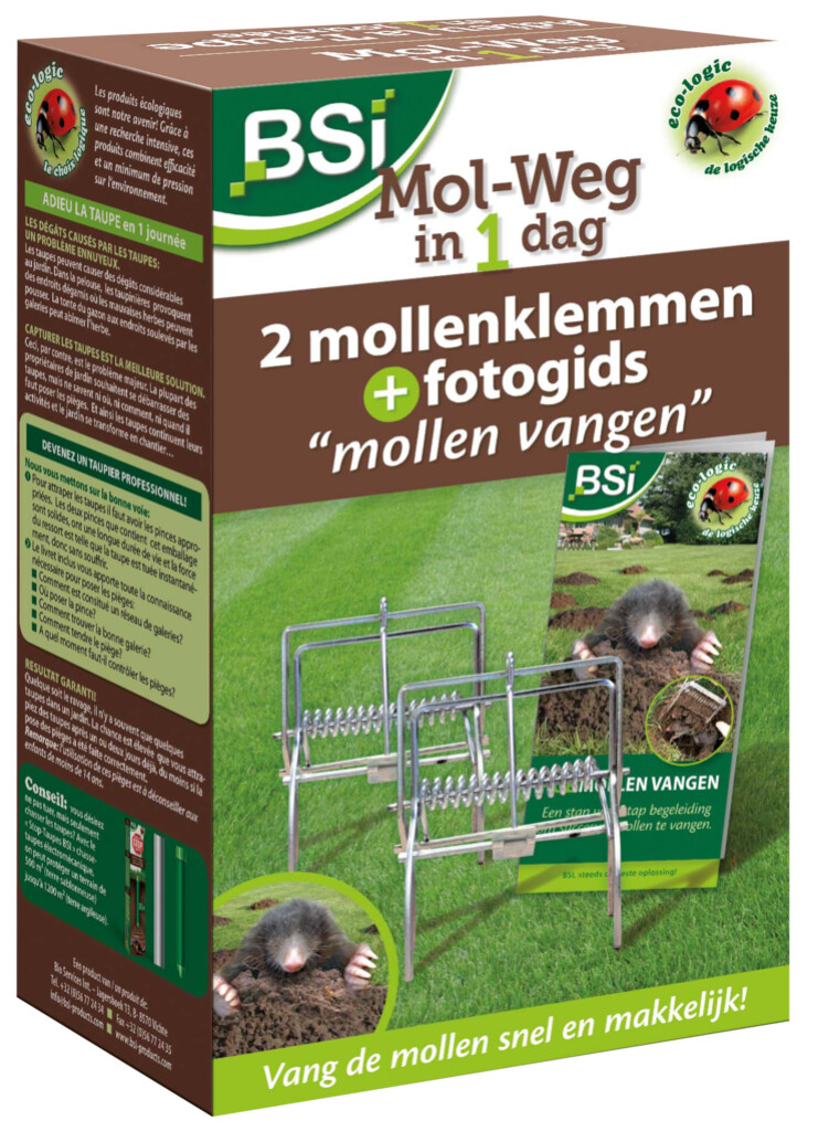 Mol-weg in 1 dag
