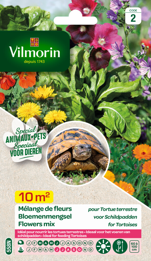 Mélange de semences de fleurs tortue terrestre 10m²