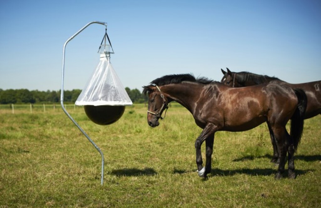 Piège à taons TaonX Piège à taons TaonX